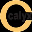 CALYX CHEMICALS & PHARMACEUTICALS LTD.