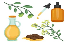 Interior Paints